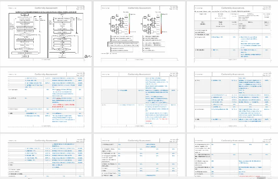 CNELEC Guide 32 Risk Assessment Sample